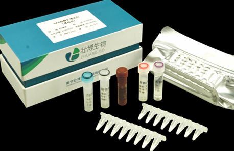 RAA核酸扩增试剂盒