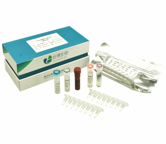 RAA（重组酶介导链替换核酸扩增）